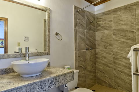 Basic Triple Room | Bathroom | Shower, free toiletries, hair dryer, towels