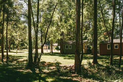 Chalet | View from property