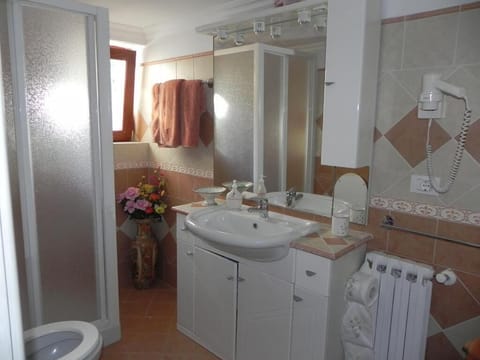 Shower, hair dryer, shampoo