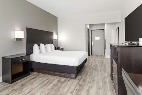 Standard Room, 1 King Bed, Non Smoking, Refrigerator & Microwave | Premium bedding, in-room safe, desk, laptop workspace