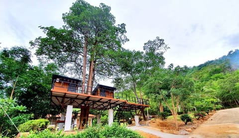 Cabin, 1 Bedroom, Balcony, Garden View | Property grounds