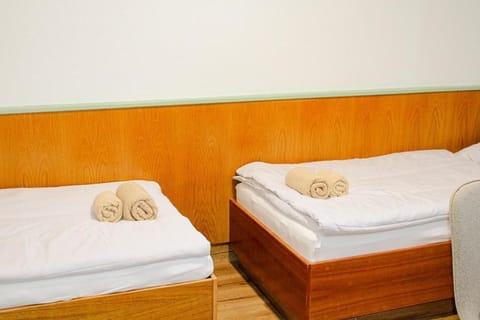 Twin Room | Desk, laptop workspace, WiFi (free)