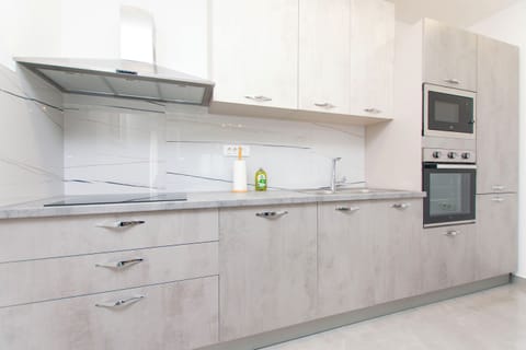 Apartment (A1) | Private kitchen | Fridge, microwave, oven, stovetop