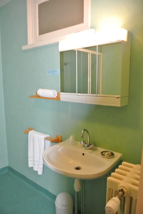 Combined shower/tub, free toiletries, hair dryer, towels