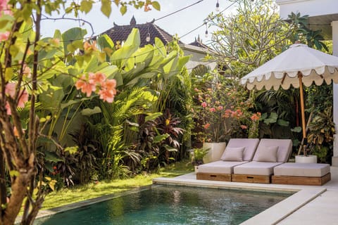 Outdoor pool, sun loungers