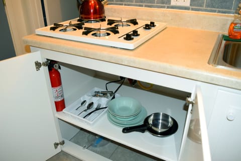 Studio Suite, City View | Private kitchen | Fridge, microwave, stovetop, coffee/tea maker