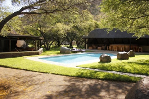 Outdoor pool, sun loungers
