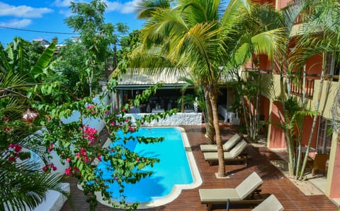 Outdoor pool, sun loungers