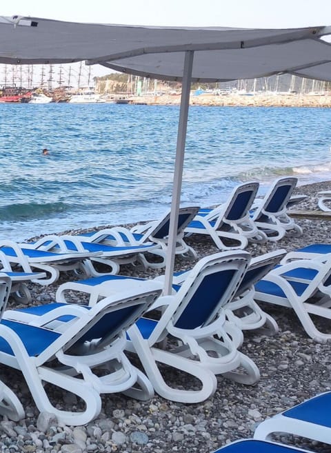 Private beach, sun loungers, beach umbrellas
