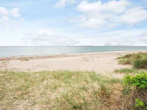 House | Beach