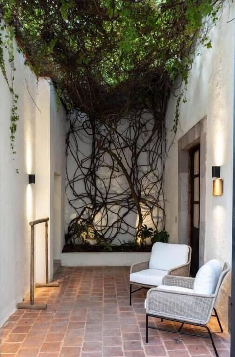 Suite | Terrace/patio