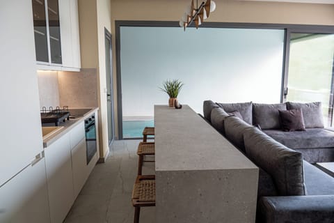 Luxury Villa, Sea View | Interior