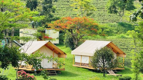 Deluxe Tent, Balcony, Garden View | Exterior
