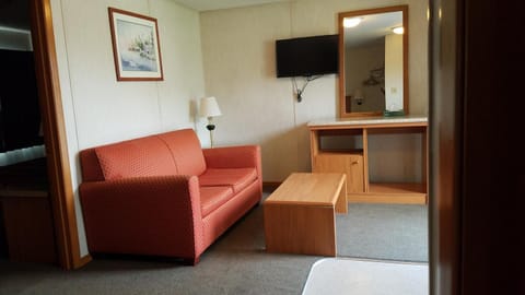 25-inch TV with satellite channels