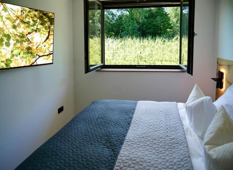Deluxe Double Room | Vineyard view