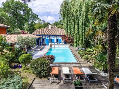 Seasonal outdoor pool, open 10:00 AM to 7:00 PM, sun loungers