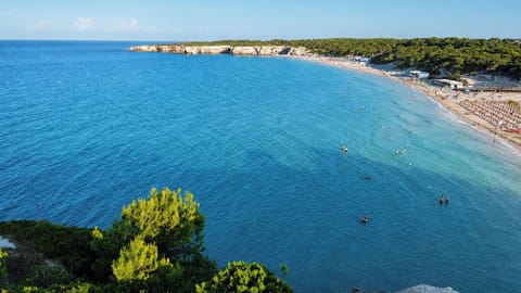 Beach nearby, white sand, sun loungers, beach bar