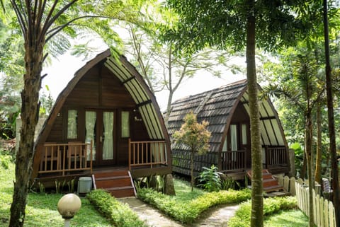 Deluxe Cabin | View from room