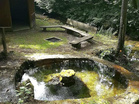 Apartment | Garden