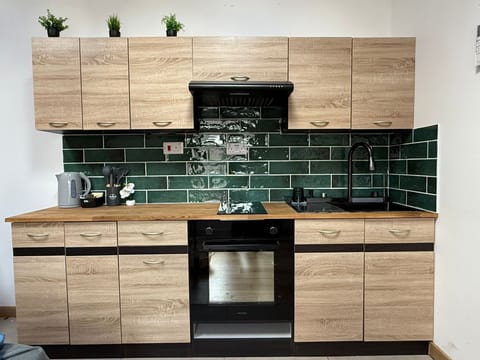 Fridge, oven, stovetop, electric kettle