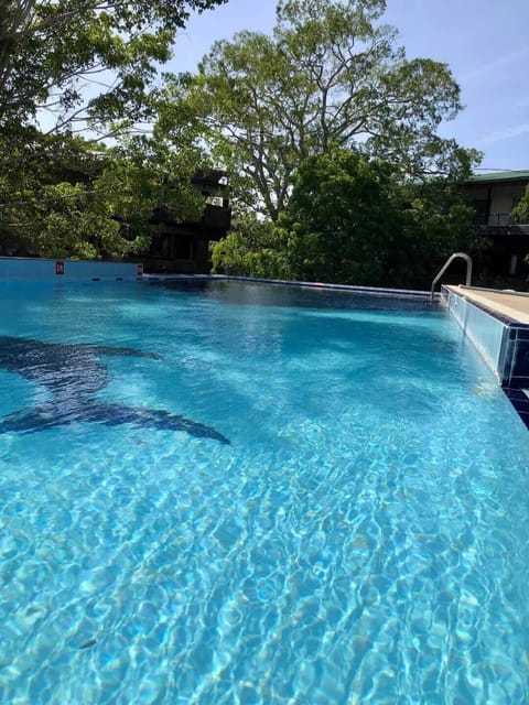 Outdoor pool, pool umbrellas