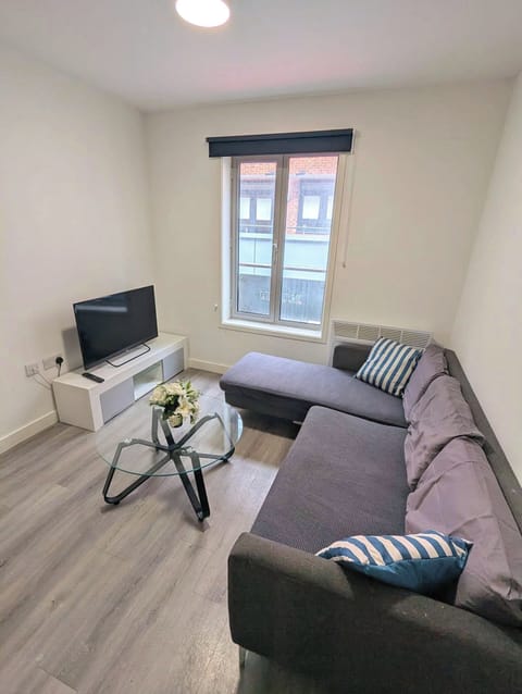 Basic Apartment | Living area | Smart TV