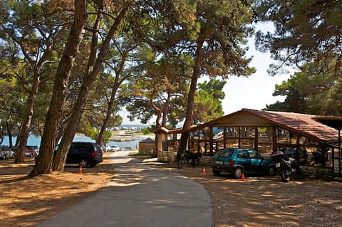 3 restaurants, international cuisine