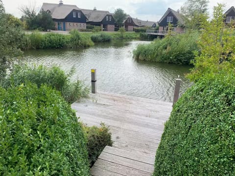 House | View from property