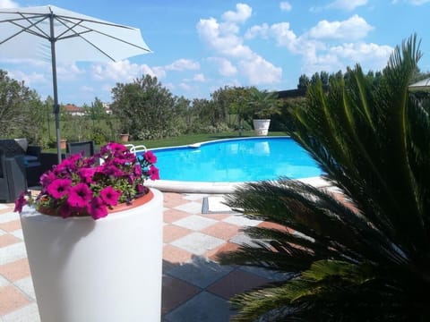 Seasonal outdoor pool, open 8:00 AM to 8:00 PM, pool umbrellas