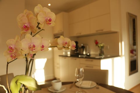 Superior Studio | Private kitchenette | Coffee/tea maker, electric kettle, cleaning supplies, paper towels