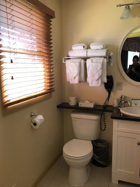 Free toiletries, hair dryer, towels