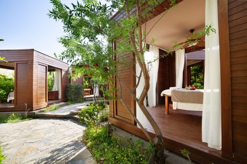 Steam room, Turkish bath, detox wraps, massage/treatment rooms