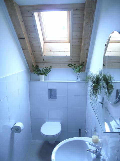 Double Room (Attic) | Bathroom | Shower, rainfall showerhead, free toiletries, hair dryer