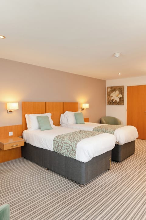 Executive Double or Twin Room | Desk, laptop workspace, iron/ironing board, free WiFi