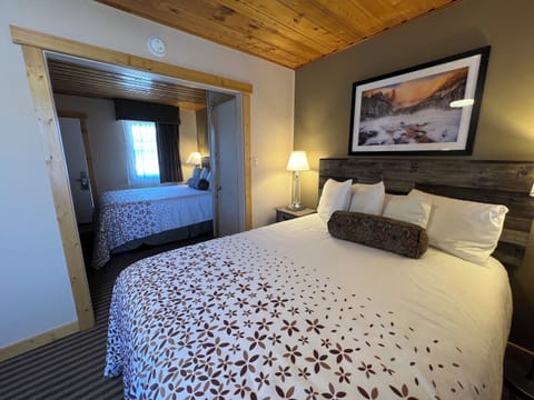 Economy Double Room (Non-Pet Friendly) | Egyptian cotton sheets, premium bedding, individually decorated