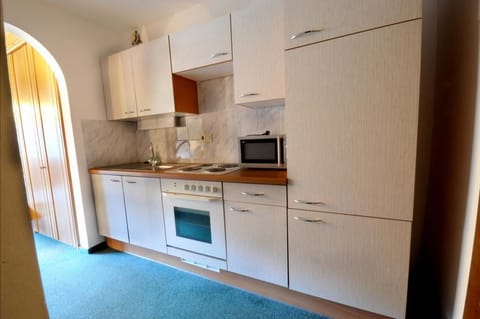 Family Apartment, 2 Bedrooms, Non Smoking, Mountain View | Private kitchen | Full-size fridge, stovetop, coffee/tea maker, electric kettle