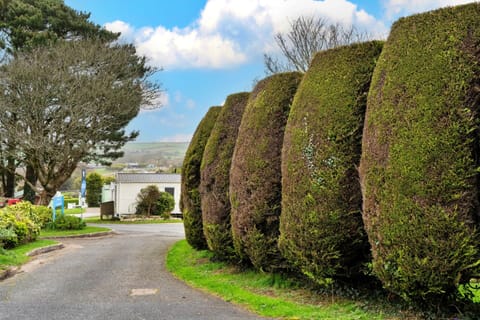 Chalet | Property grounds