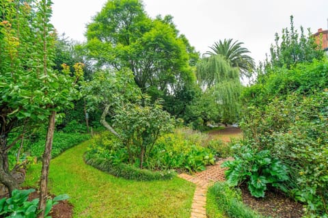 Room, 1 Bedroom, Patio | Garden
