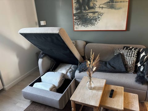 Apartment, 1 Bedroom | Living area