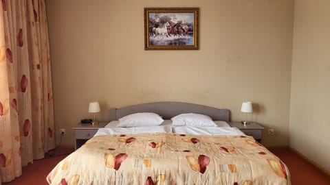 Classic Double Room | In-room safe, desk, WiFi (free), bed sheets