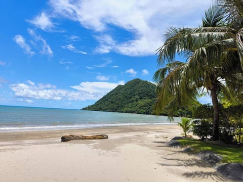 Condo, 1 Bedroom, Smoking, Balcony | Beach