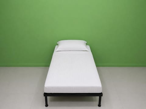 Classic Shared Dormitory | Desk, laptop workspace, WiFi (free)
