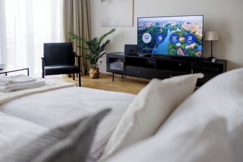 Superior Apartment | Living room | 40-inch flat-screen TV with digital channels, books, streaming services