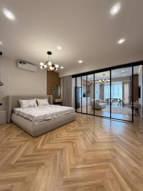 Comfort Apartment, River View | Iron/ironing board, WiFi (free)