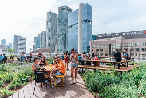 Rooftop terrace