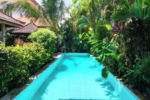 Classic House, Balcony, Pool View | Outdoor pool | Outdoor pool, free cabanas, pool umbrellas
