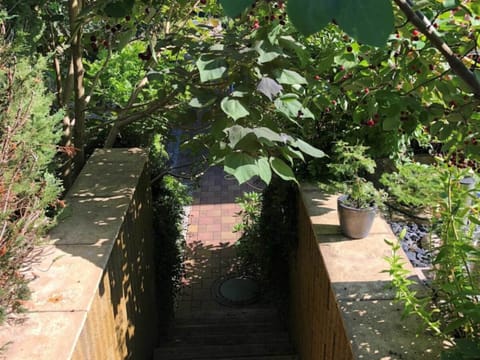 House | Property grounds