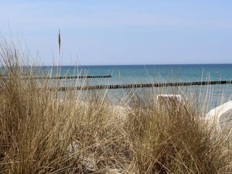 House | Beach
