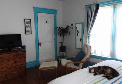 Room (The Brighton Room) | Individually decorated, individually furnished, laptop workspace