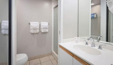 Studio Suite | Bathroom | Shower, hair dryer, towels